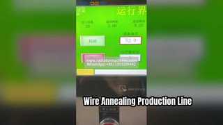 Hoogefficiënte automatische productielijn voor draadgloeien en warmtebehandeling | Industriële Metaaloplossing
